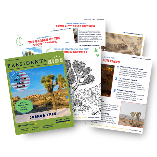 Joshua Tree National Park