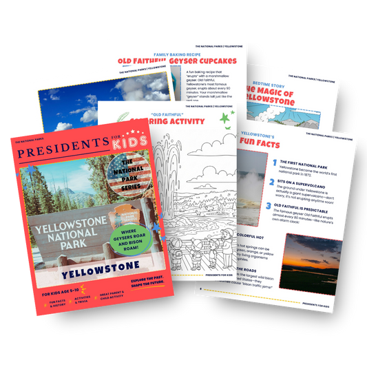 Presidents For Kids Complete Collector Set – 85 Activity Books!