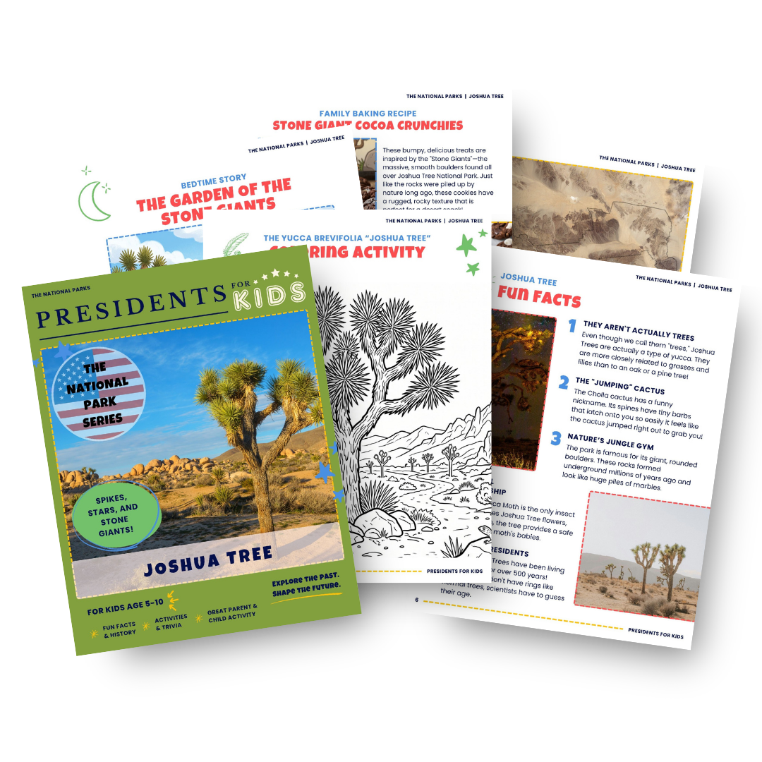 Joshua Tree National Park
